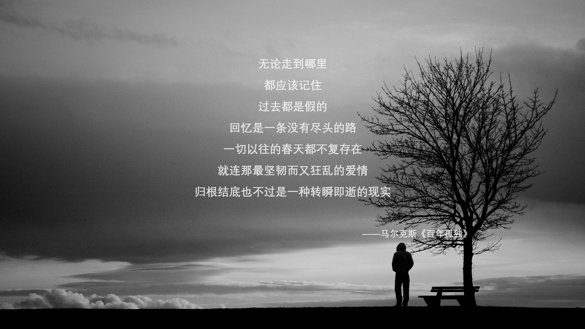 电竞直播平台推出新AI解说，提升观赛体验，电竞直播介绍