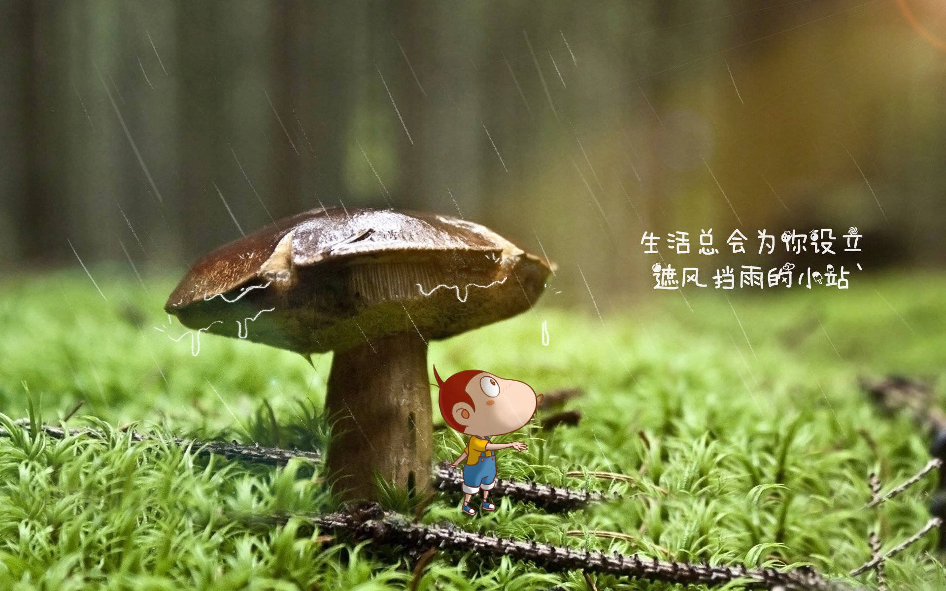 虚拟现实比赛直播：真人与虚拟交相辉映，虚拟现实大赛