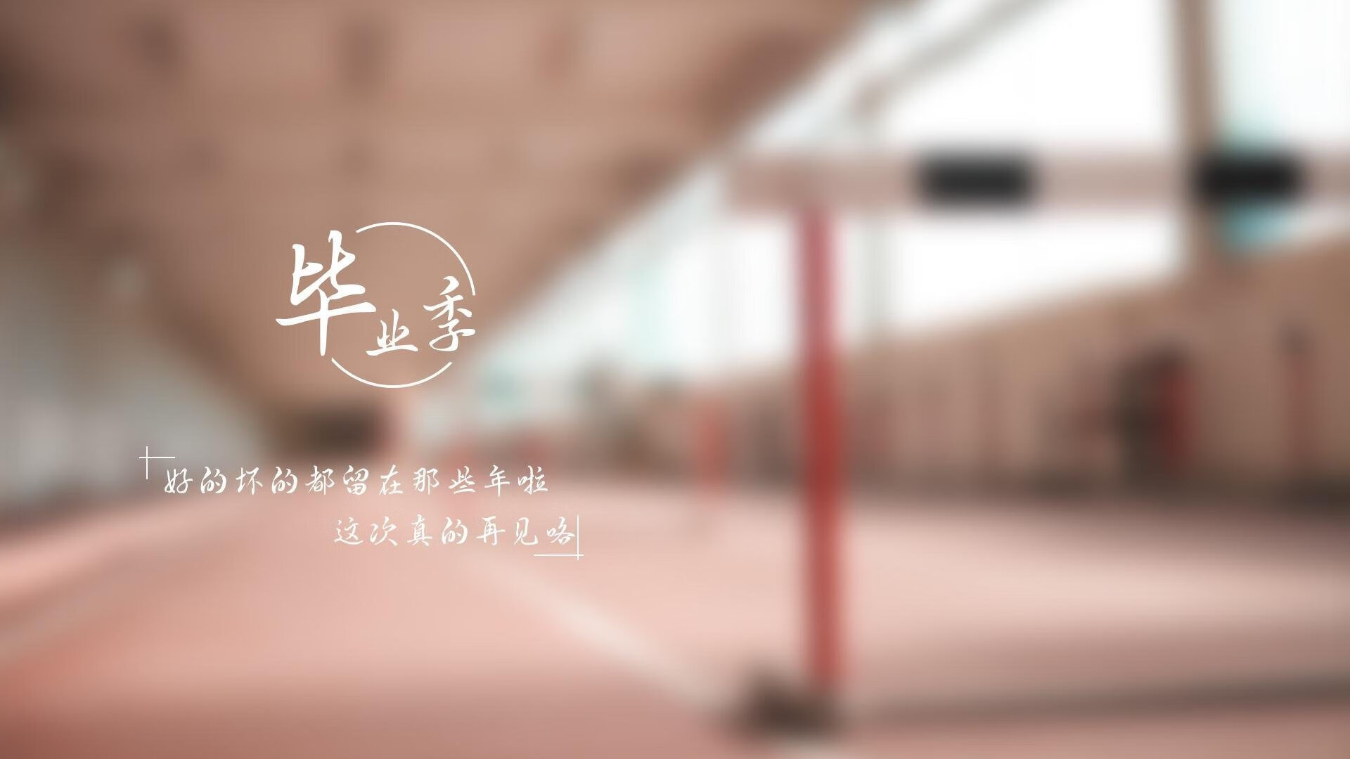 中国足球场地适应性影响因素，足球场地分析