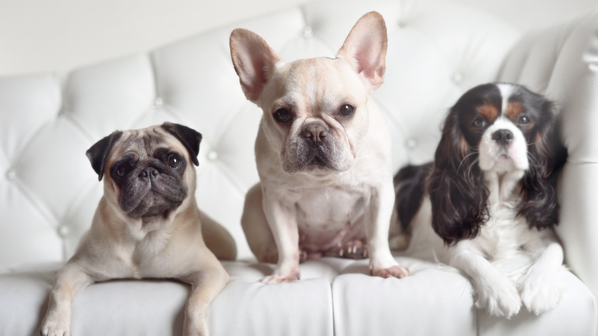 中国射箭队热身赛表现稳定,中国射箭男队