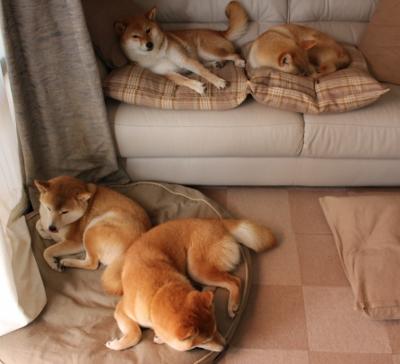 爱游戏下载-攀岩运动普及广泛吸引青少年参与，攀岩运动的好处和坏处