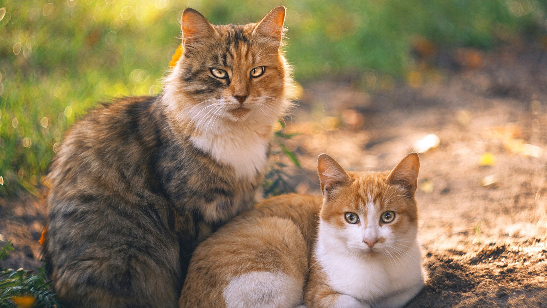 爱游戏电竞官网-最擅长处理关键球的前锋球员是谁，最擅长处理关键球的前锋球员是谁啊