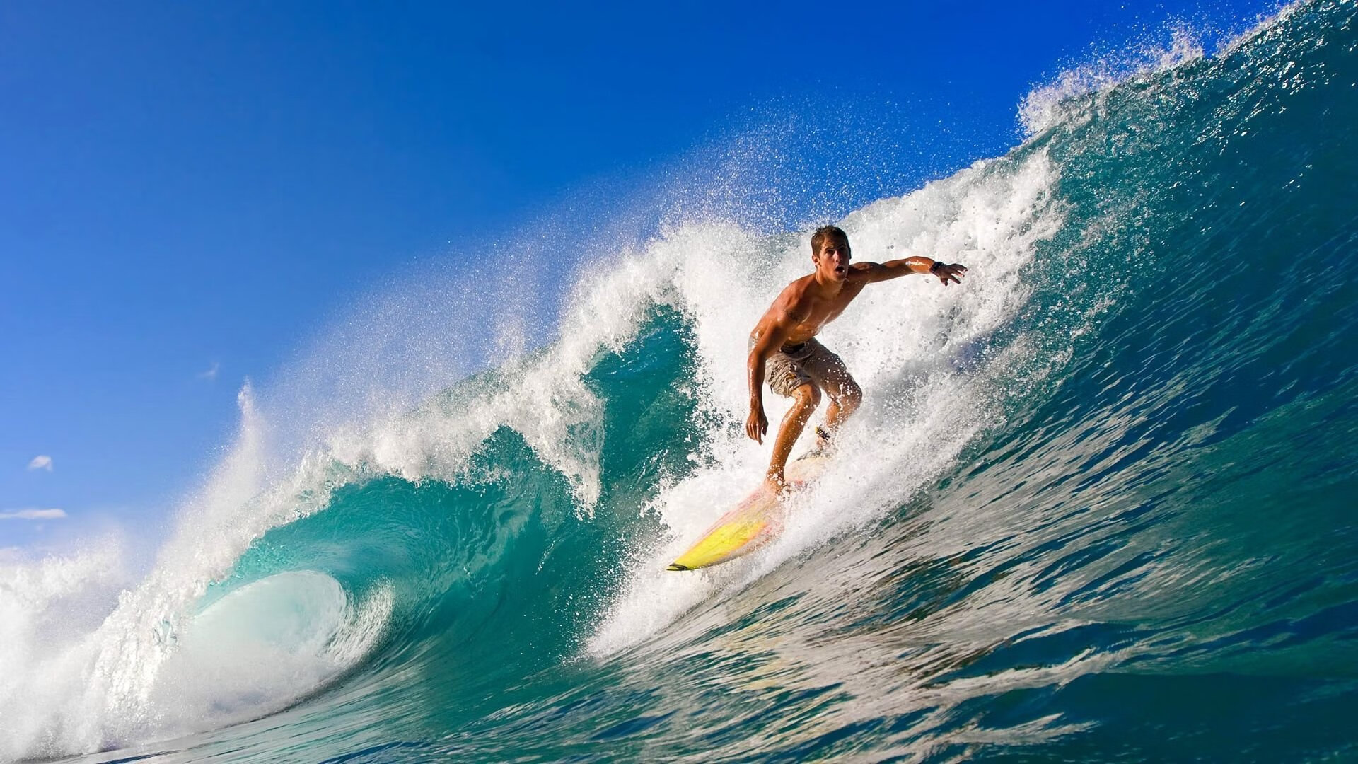 瑞典乒乓战术:从发球到反攻的战略布局,被誉为乒坛常青树的瑞典乒乓球选手