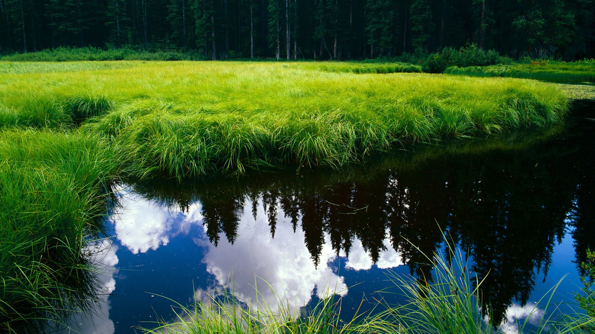 篮球解说是否能承担战术普及角色，篮球解说需要什么技能