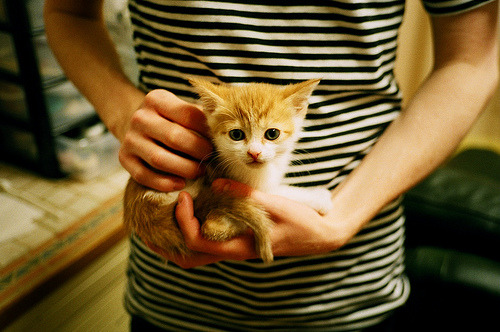 爱游戏平台-罗马尼亚队赛制策略：团体比赛中的角色分配与战术部署，罗马尼亚球队厉害吗