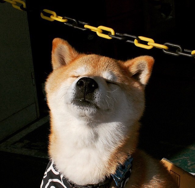 爱游戏在线娱乐官网-阿尔及利亚首位球员 Faredj Messaoudi 签约日本职业 3×3 联赛，脸腮帮子肿疼了怎么回事