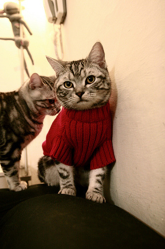 CBA俱乐部重视年轻球员比赛经验积累促进全面成长,cba俱乐部工作人员