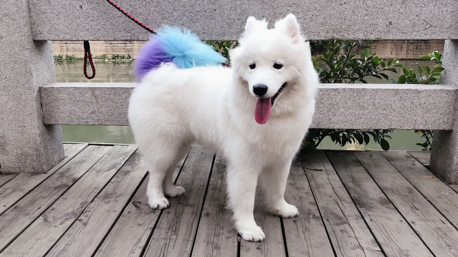 爱游戏娱乐网址-世界杯精彩夜：激情无限，燃烧团魂！，世界杯精彩片段视频