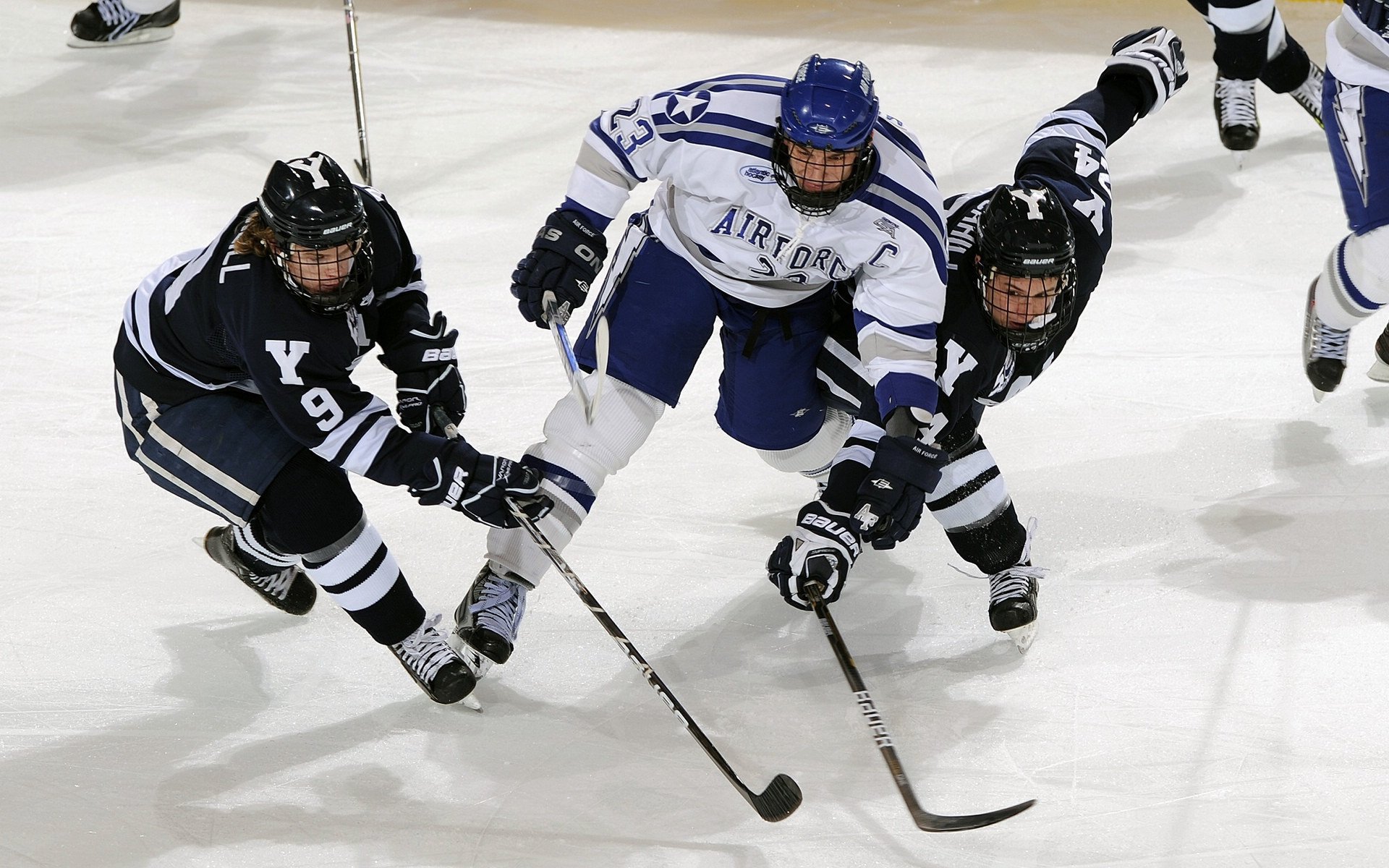 中国篮球推动专业裁判员培训体系完善，2020篮球裁判培训