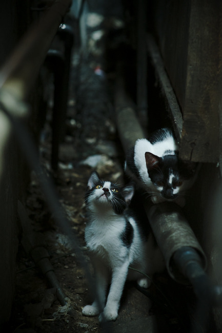 中学篮球开展篮球主题教育丰富体育内容,中学篮球教学的目的是什么