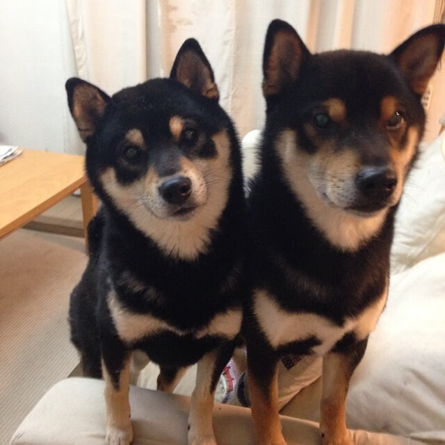 爱游戏娱乐-多项目并行发展促进国家竞技水平提升，多项目并行管理