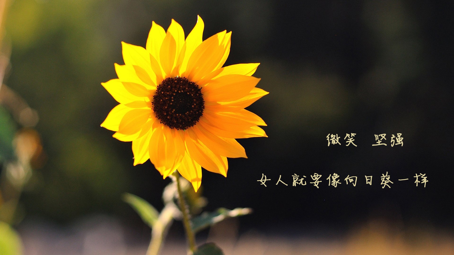 女子篮球青训基地全面提升设施建设，女子篮球训练营