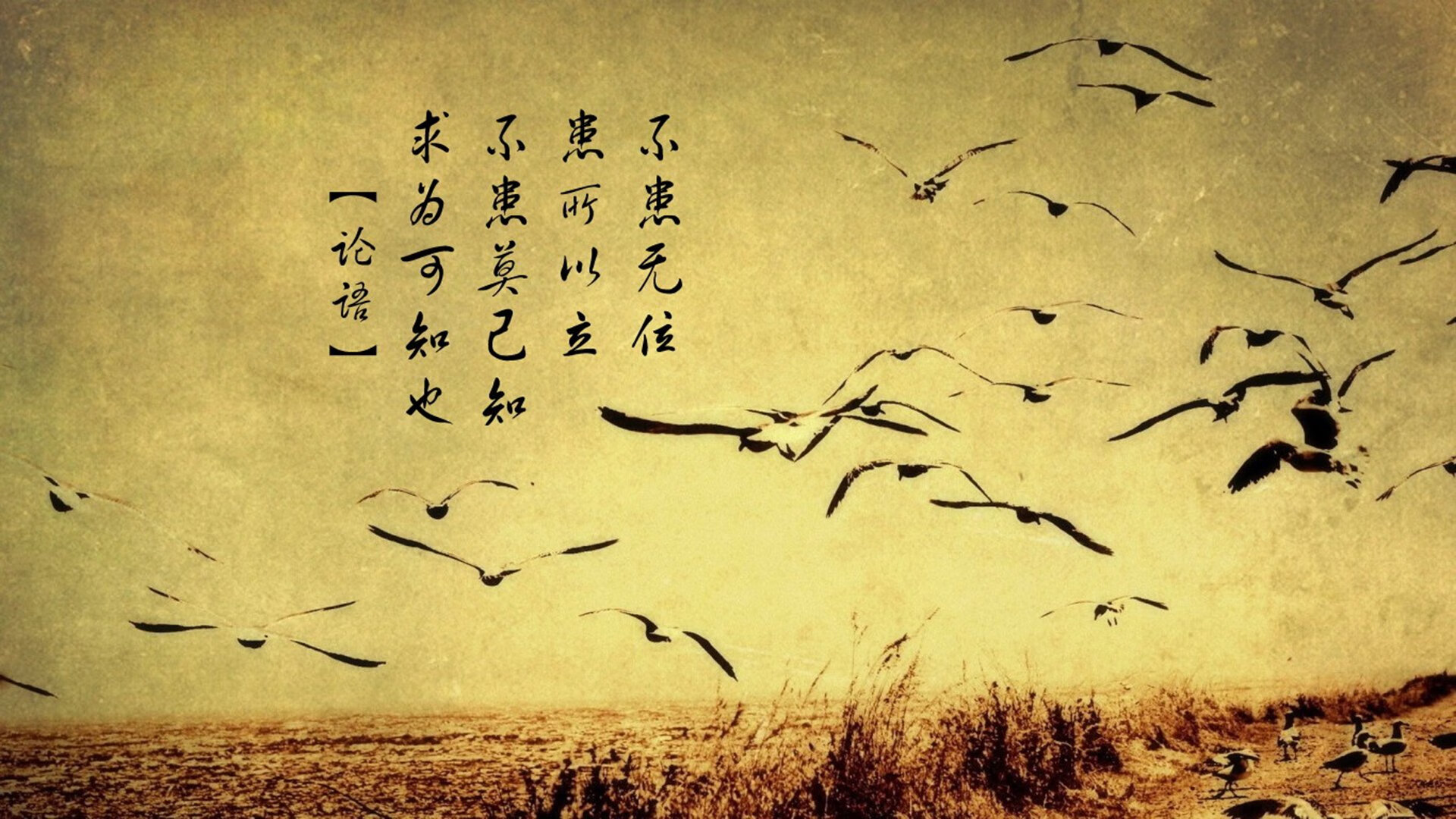 AYX体育官网-新型球场草坪启用，提升比赛质量，球场草坪养护